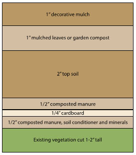 lasagana-mulch-2